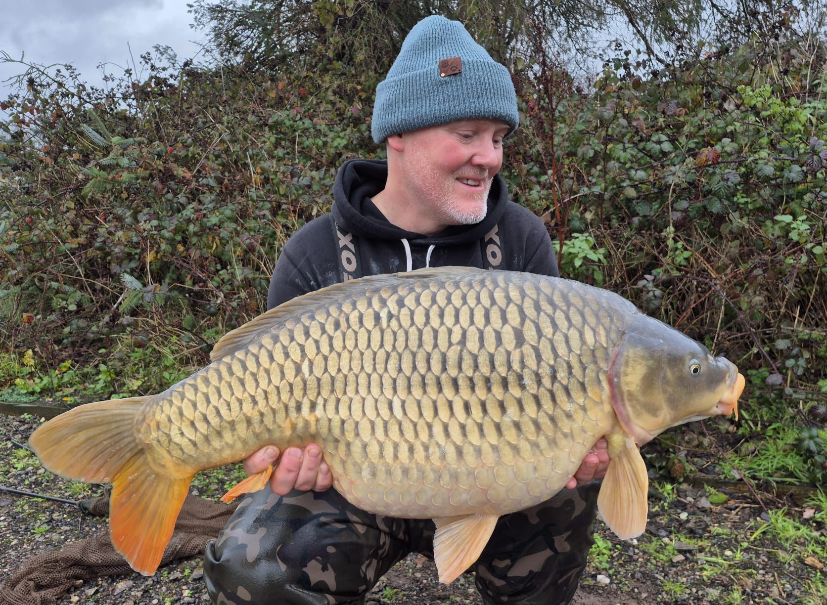 Big Common Carp