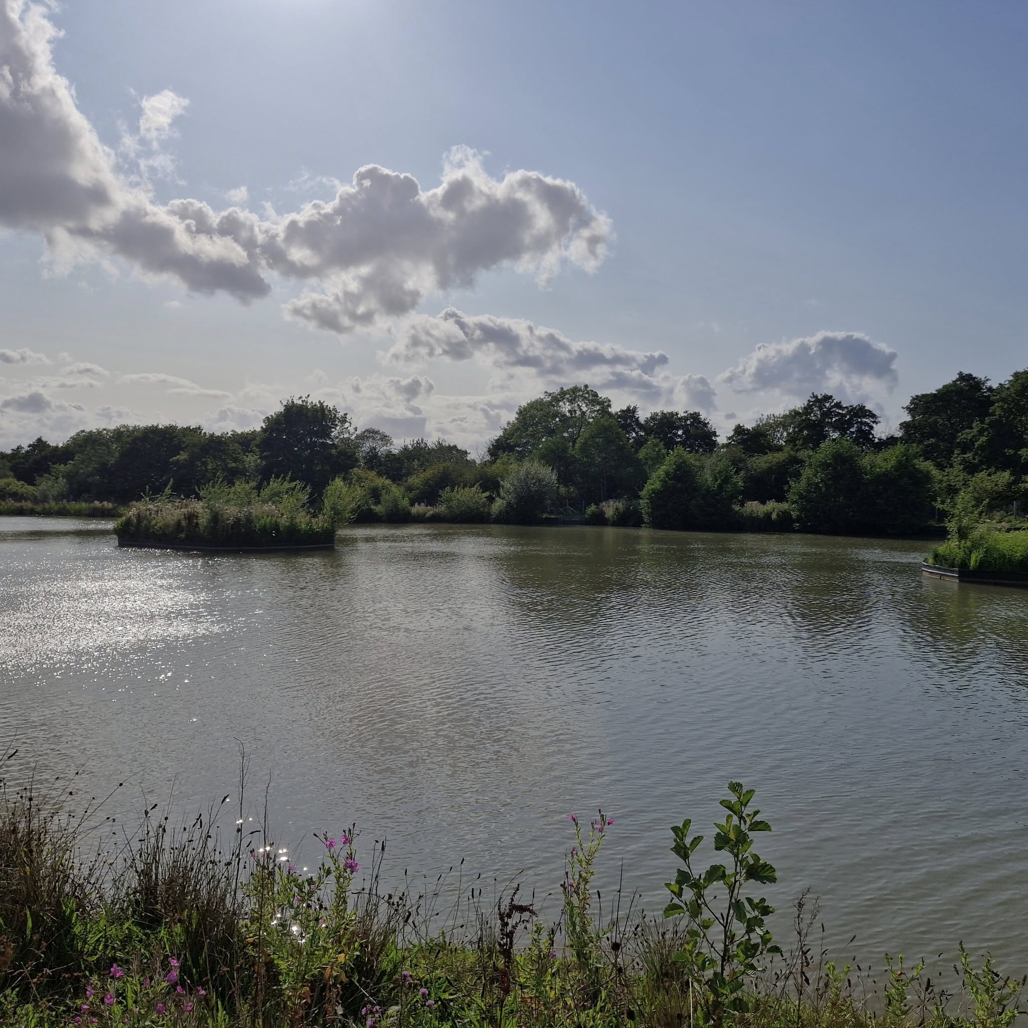 The Cheshire Fishery