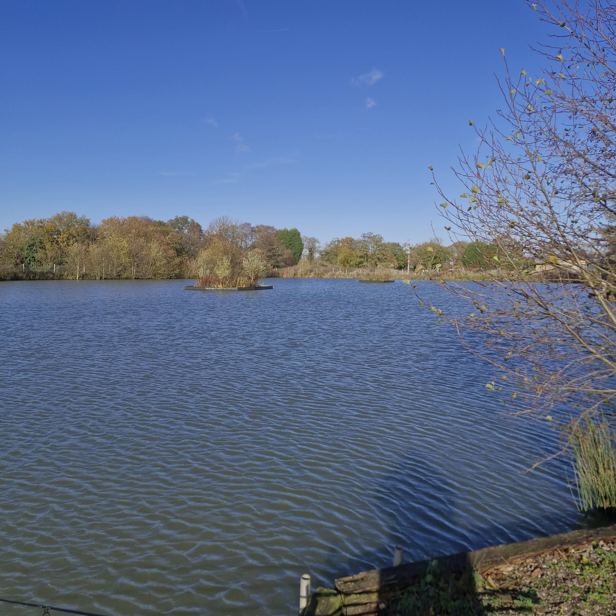 The Cheshire Fishery