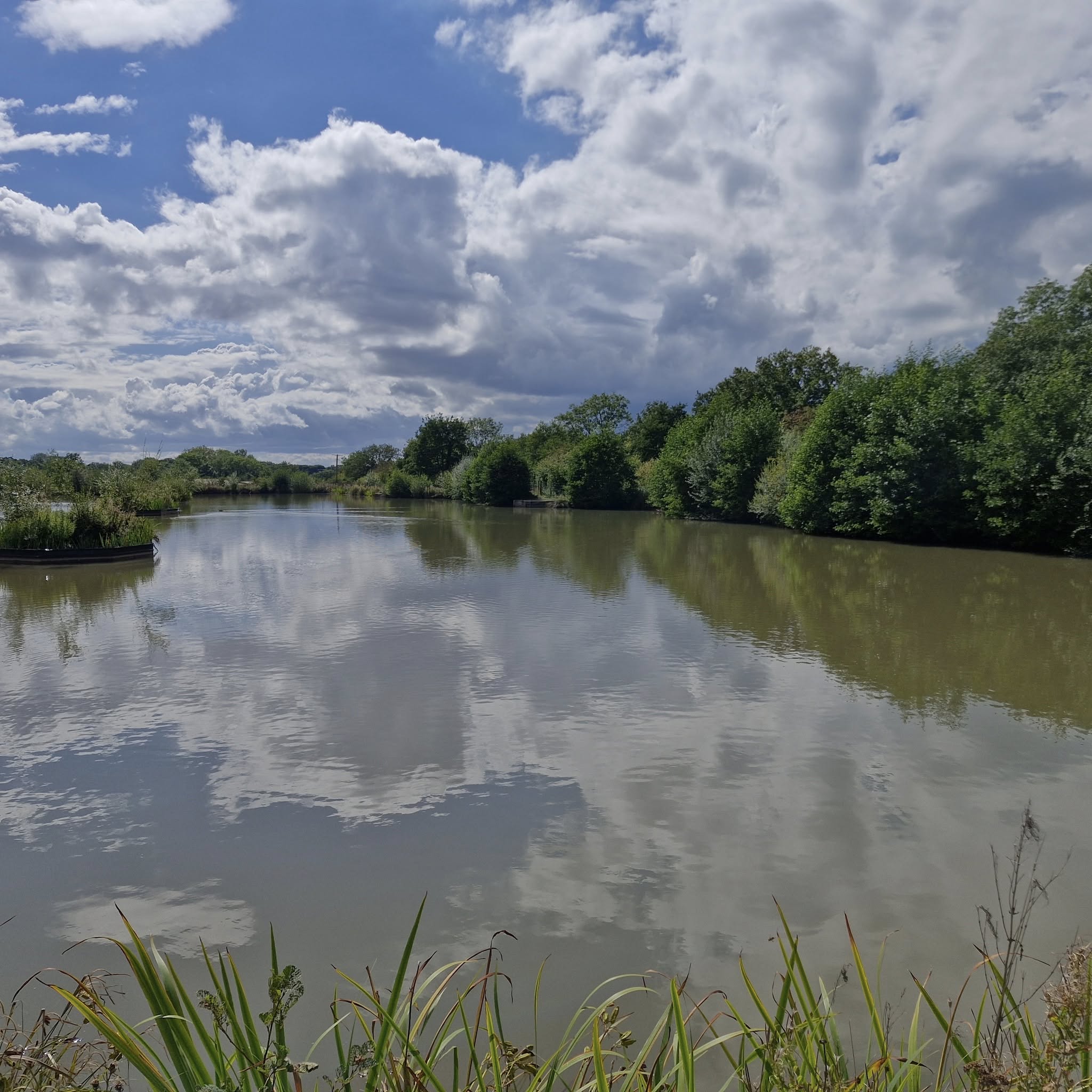 The Cheshire Fishery